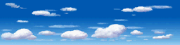 Layer 0