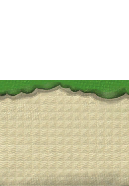 Layer 1