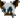 Perso