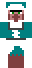 Minecraft Snowy Villager