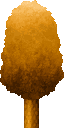 Autumn Tree