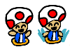 toad in flotis